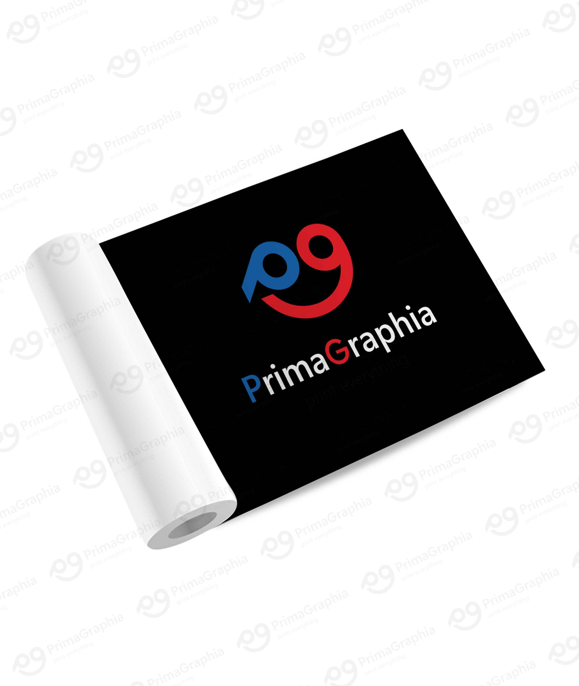 Sticker Epson SureColor — foto 1